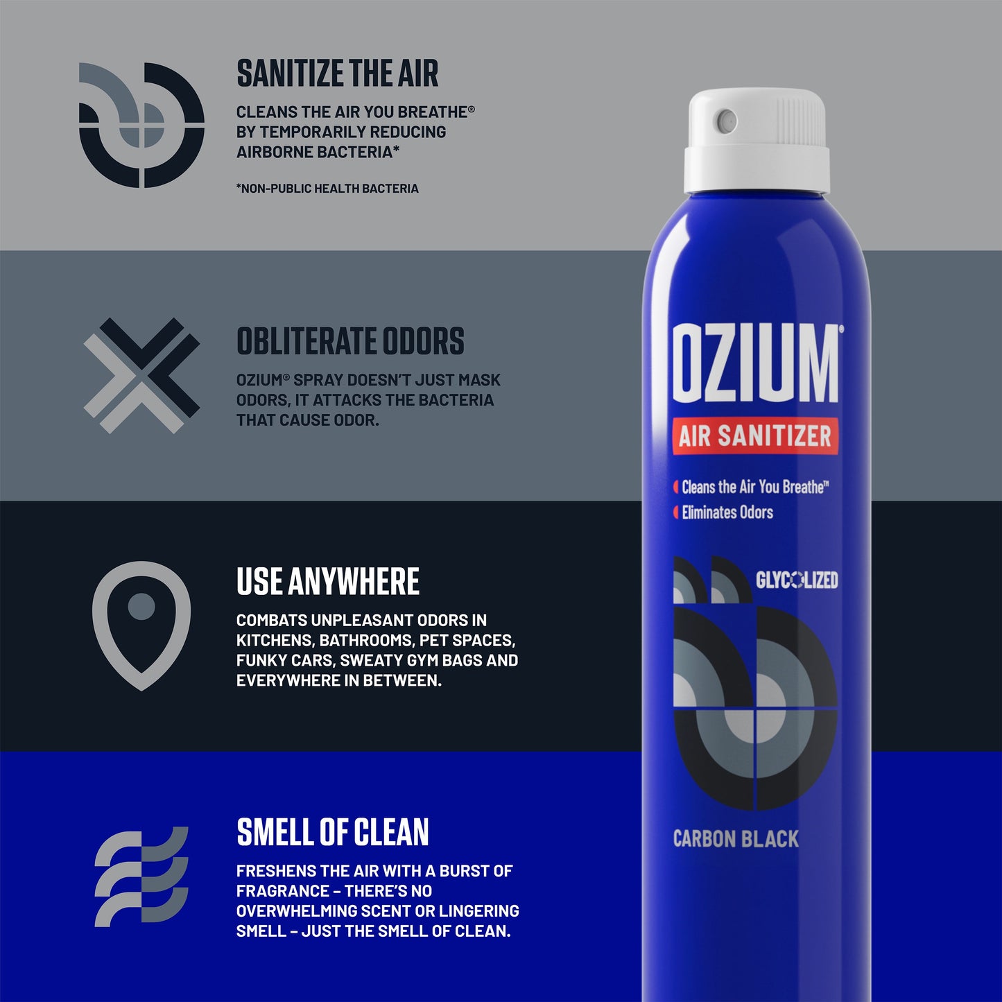 Air Sanitizer Spray 8oz