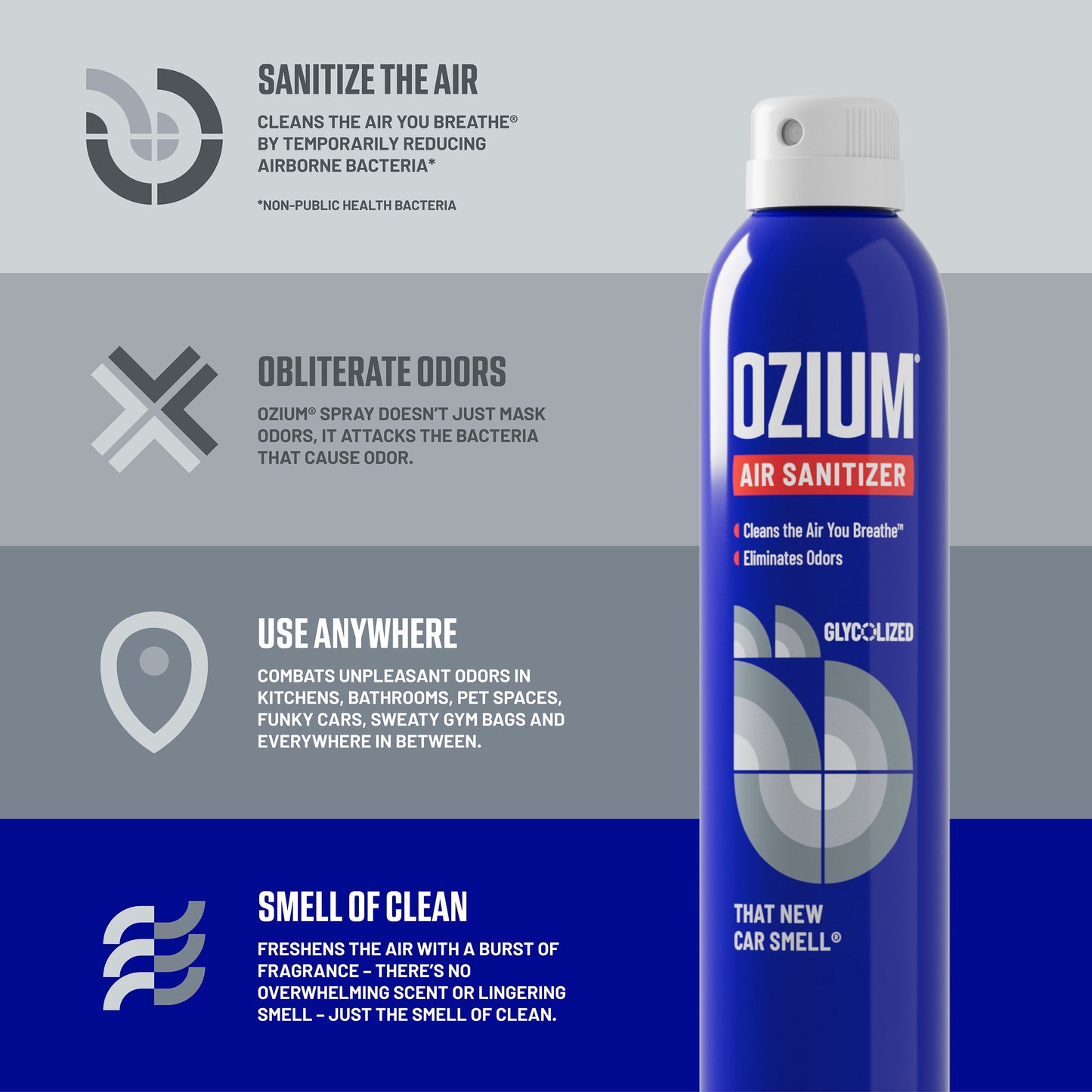 Air Sanitizer Spray 8oz